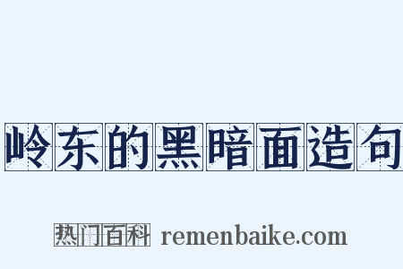 岭东的黑暗面造句是什么意思的图片